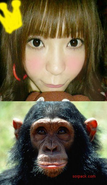 dvubb 图片点击可在新窗口打开查看