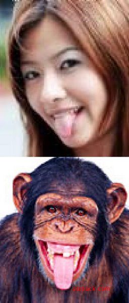 dvubb 图片点击可在新窗口打开查看