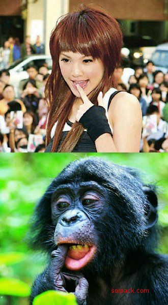 dvubb 图片点击可在新窗口打开查看