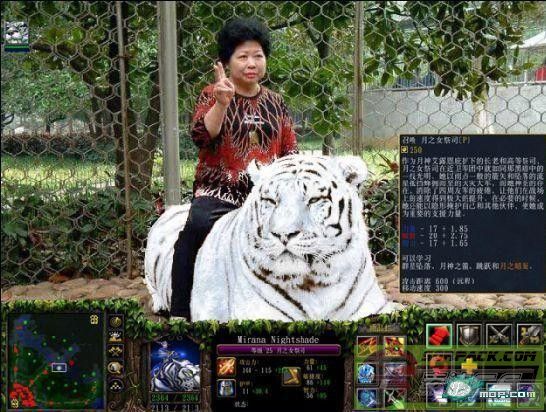 dvubb 图片点击可在新窗口打开查看