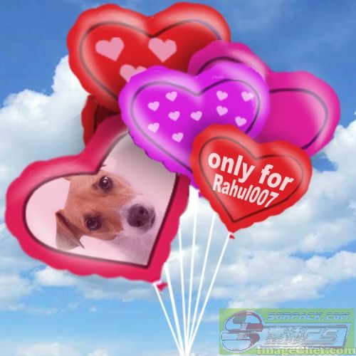 ͼƬ��������´��ڴ򿪲鿴