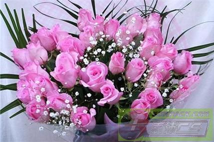 ͼƬ��������´��ڴ򿪲鿴