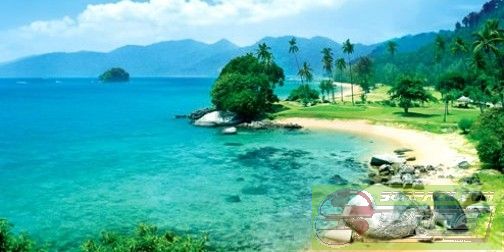 dvubb 图片点击可在新窗口打开查看