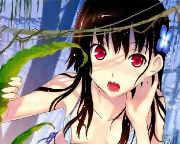 dvubb 图片点击可在新窗口打开查看