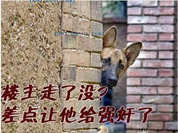 dvubb 图片点击可在新窗口打开查看