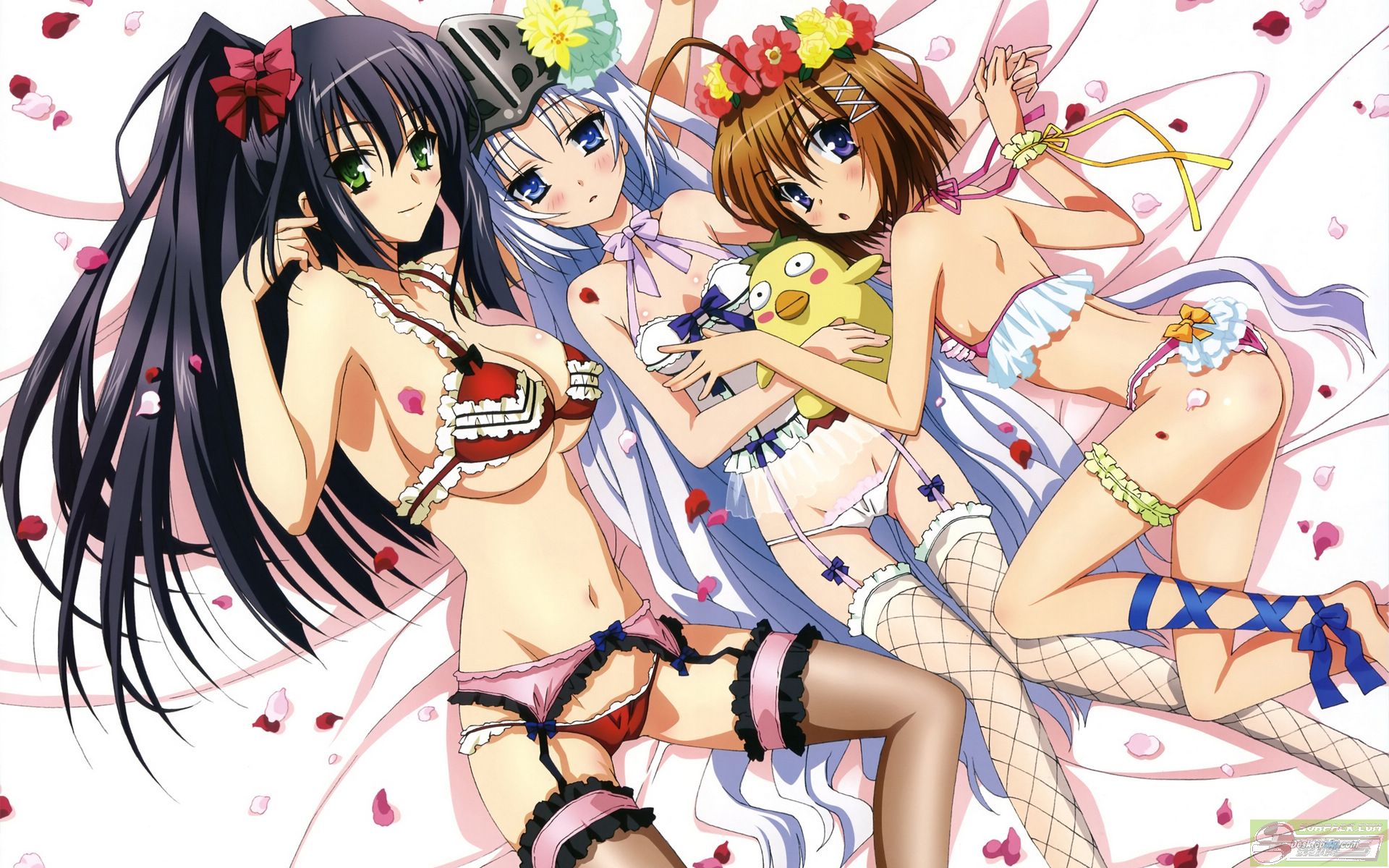 dvubb 图片点击可在新窗口打开查看