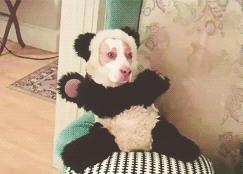 ͼƬ��������´��ڴ򿪲鿴