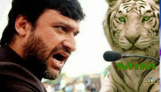 ͼƬ��������´��ڴ򿪲鿴