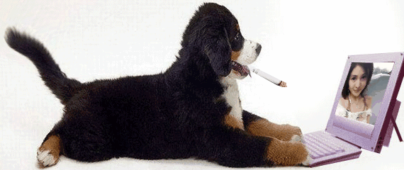 ͼƬ��������´��ڴ򿪲鿴