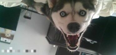 ͼƬ��������´��ڴ򿪲鿴