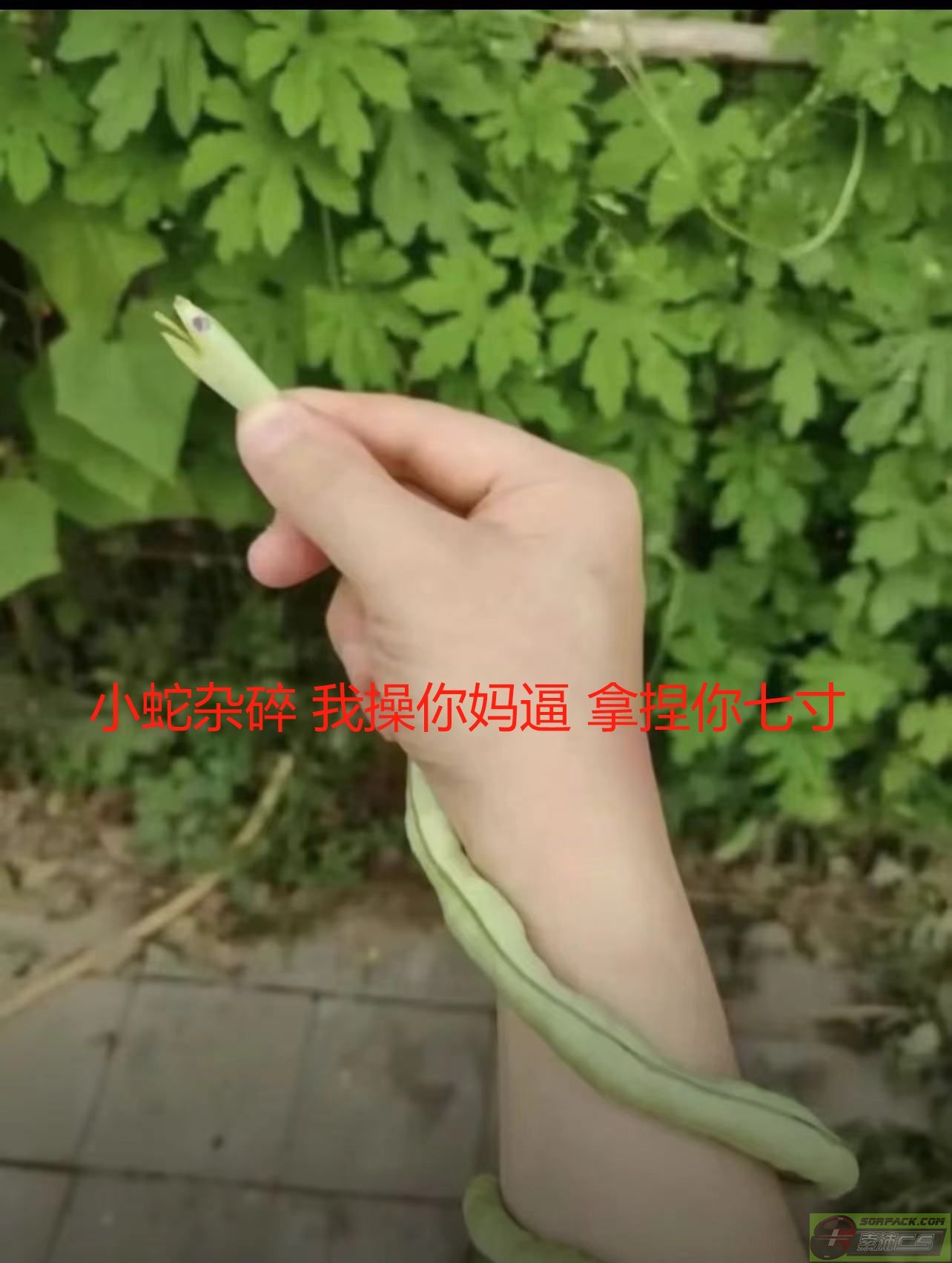 ͼƬ��������´��ڴ򿪲鿴