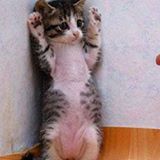 ͼƬ��������´��ڴ򿪲鿴