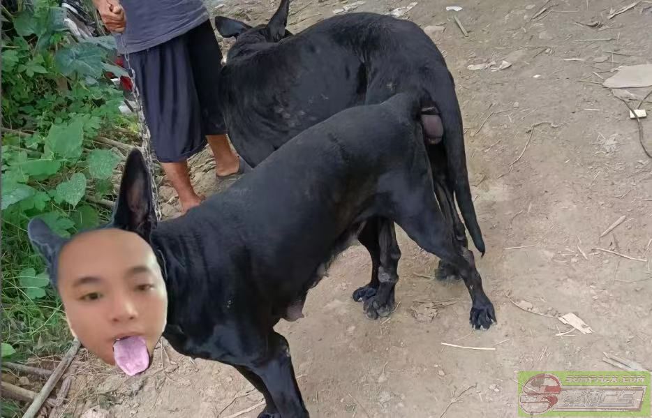 ͼƬ��������´��ڴ򿪲鿴