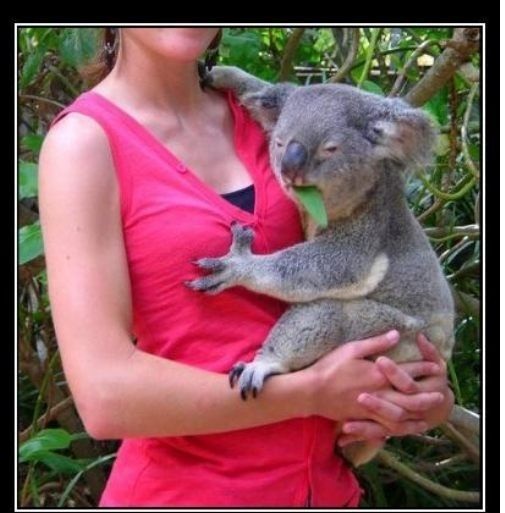 ͼƬ��������´��ڴ򿪲鿴